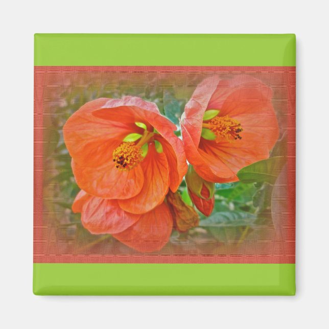Imán Naranja Hibiscus Flowers (Frente)