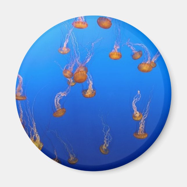 Imán Naranja Jellyfish (Frente)