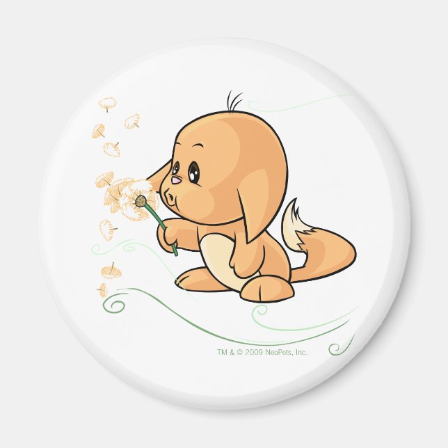 Imán Naranja Kacheek deseando un diente de león (Frente)