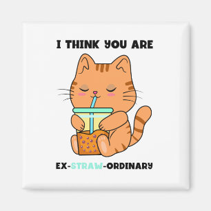 Imán Naranja kitten, eres un lindo boba extraordinario