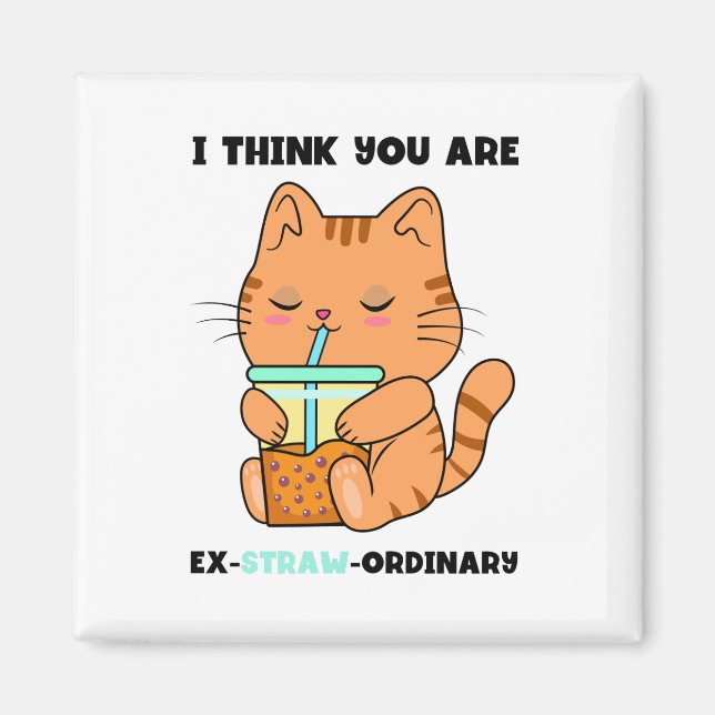 Imán Naranja kitten, eres un lindo boba extraordinario (Frente)