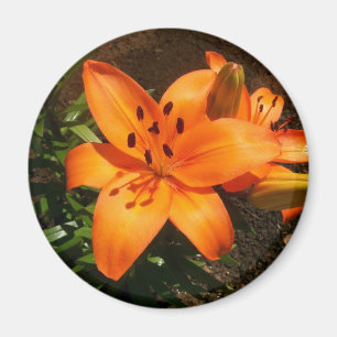Imán Naranja Lilies Magnet