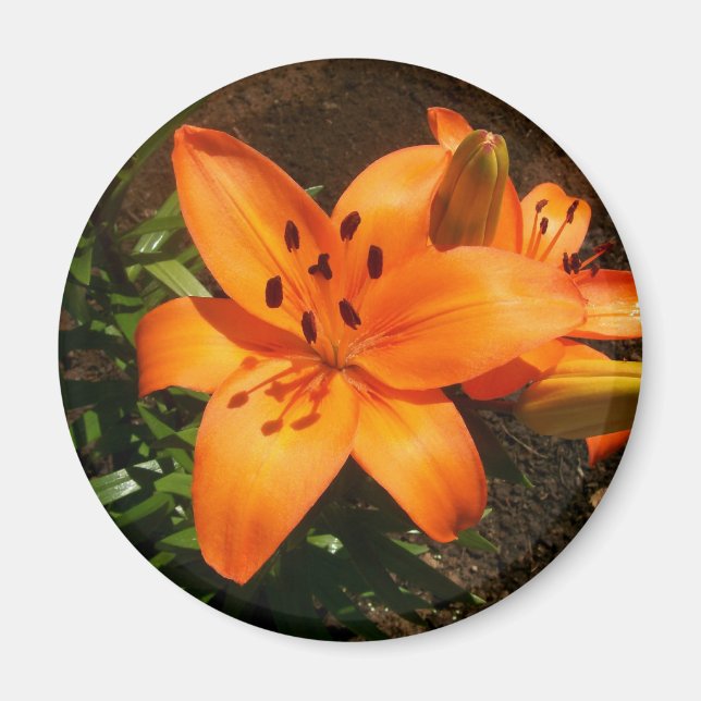 Imán Naranja Lilies Magnet (Frente)
