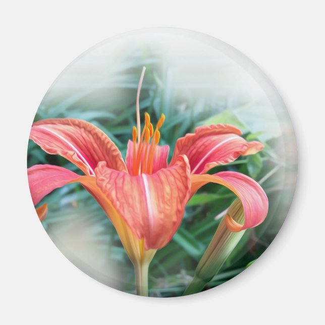 Imán naranja lily (Frente)