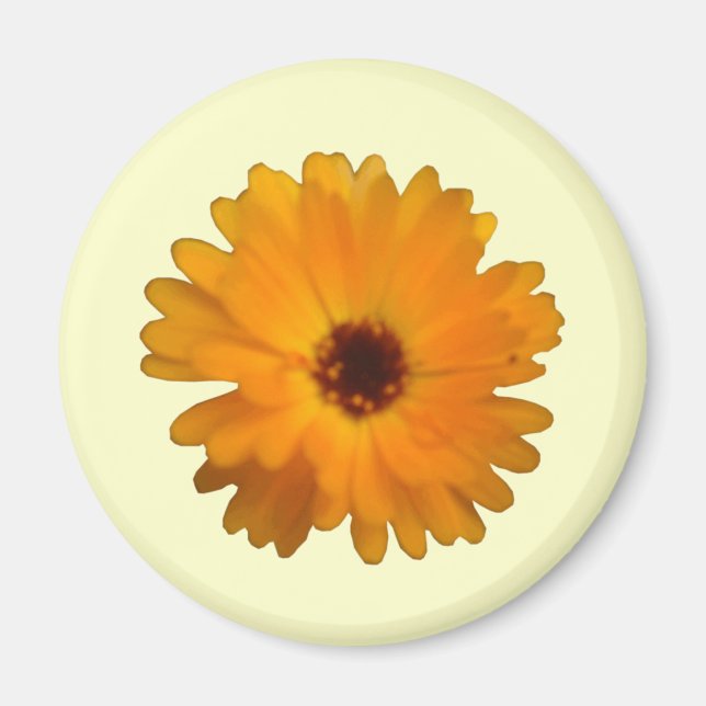 Imán Naranja Marigold Magnet (Frente)