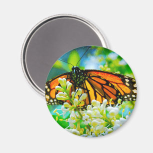 Imán Naranja monarca mariposa foto audaz estilo moderno