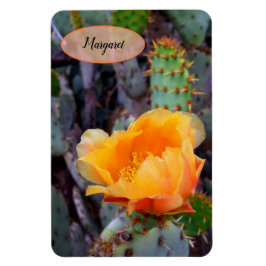 Imán Naranja Pricky Pear Opuntia Cactus Flower Photo