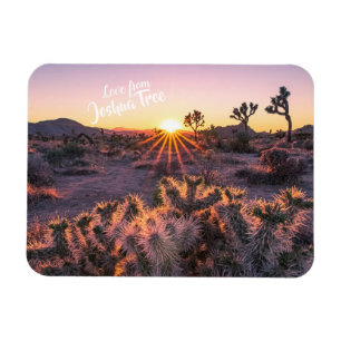 Imán Naranja púrpura Cholla Cactus Joshua Tree Sunset