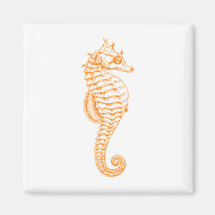 Imán Naranja Seahorse