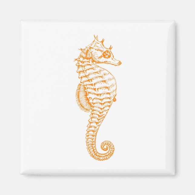 Imán Naranja Seahorse (Frente)