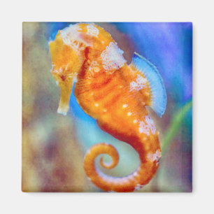 Imán Naranja Seahorse deleite