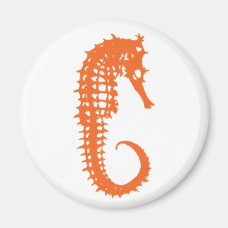 Imán Naranja Seahorse Magnet