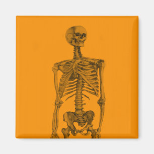 Imán Naranja Skeleton Skull