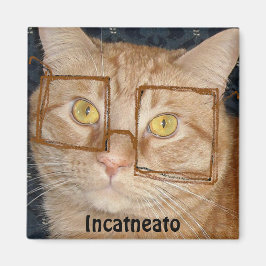 Imán Naranja Tabby Cat/Incognito Humor