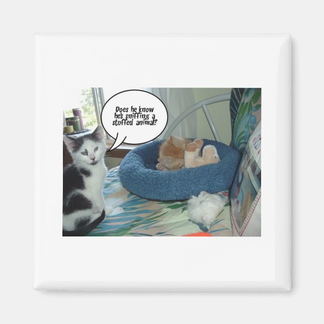 Imán Naranja Tabby Kitty Cat (Frente)