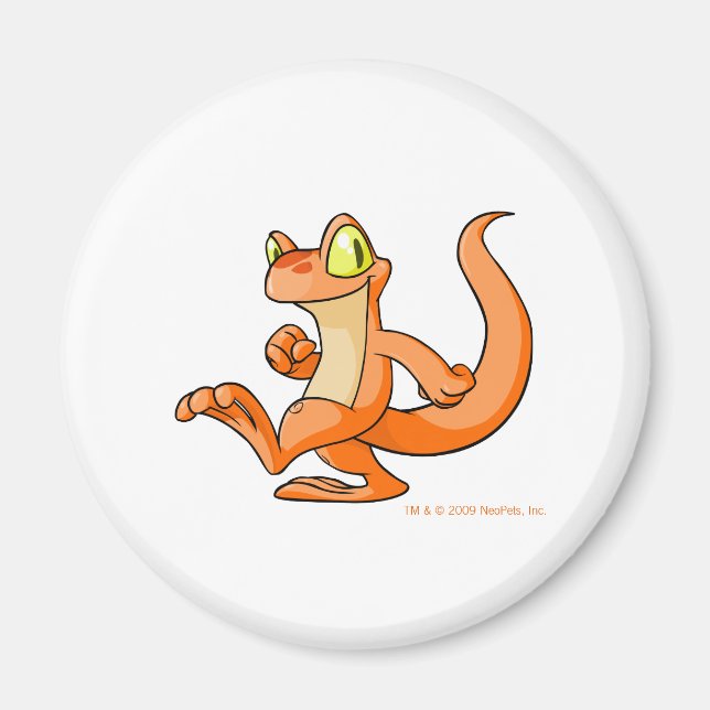 Imán Naranja Techo en una misión (Frente)