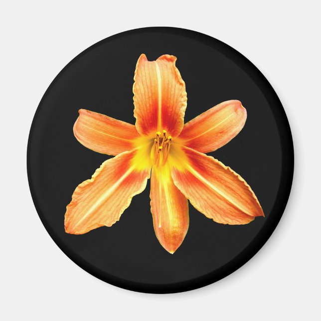 Imán Naranja Tiger Lily Magnet (Frente)