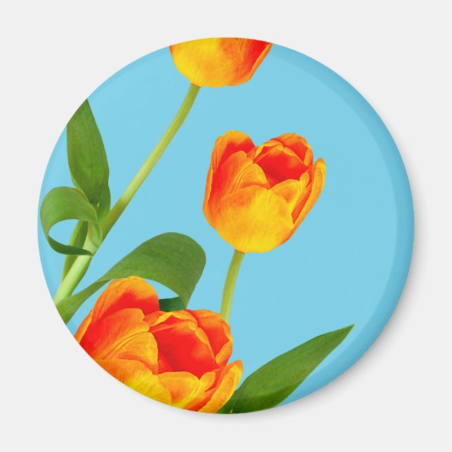Imán Naranja Tulip (Frente)