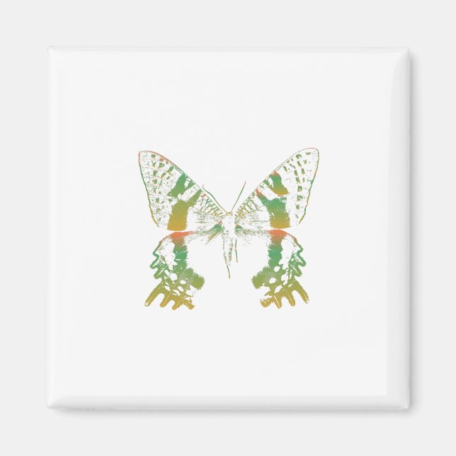 Imán Naranja verde moth de insectos (Frente)