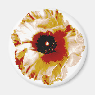 Imán naranja vibrante y ranunculus blanco