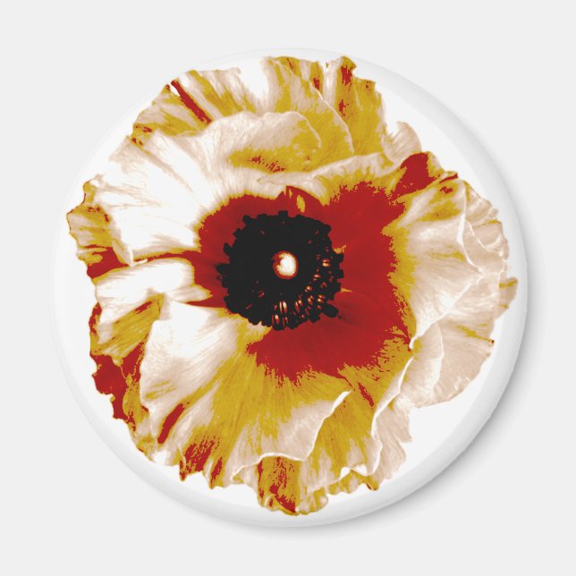 Imán naranja vibrante y ranunculus blanco (Frente)