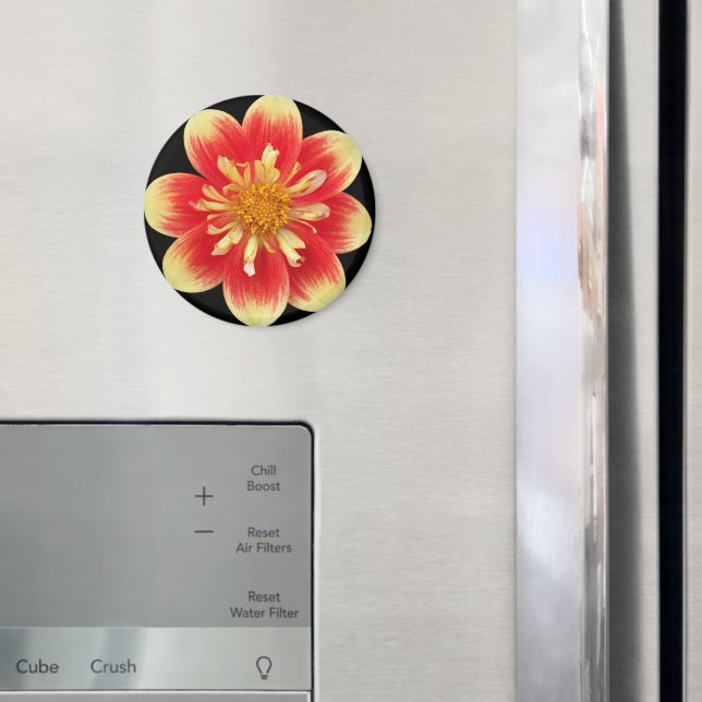 Imán Naranja y collareta amarilla Dahlia Floral (In situ (nevera))