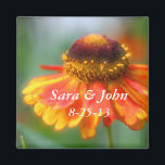 Imán Naranja Zinnia Flower Wedding Favor Magnet<br><div class="desc">La encantadora fotografía de flores de zinnia amarilla y naranja de Susan favorece el imán refrigerador. Rellene su información en la plantilla. Haga más cambios en el tamaño del tipo de letra, el estilo y el color haciendo clic en el Personalizar. Si tiene alguna pregunta o petición, por favor contáctame....</div>