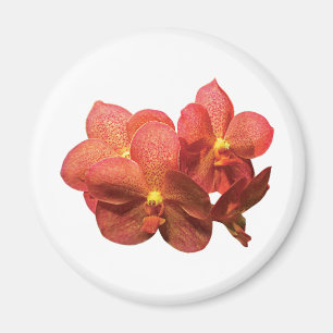 Imán Naranjas de orquídeas