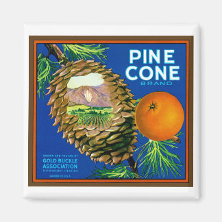 Imán Naranjas de Pine Cone