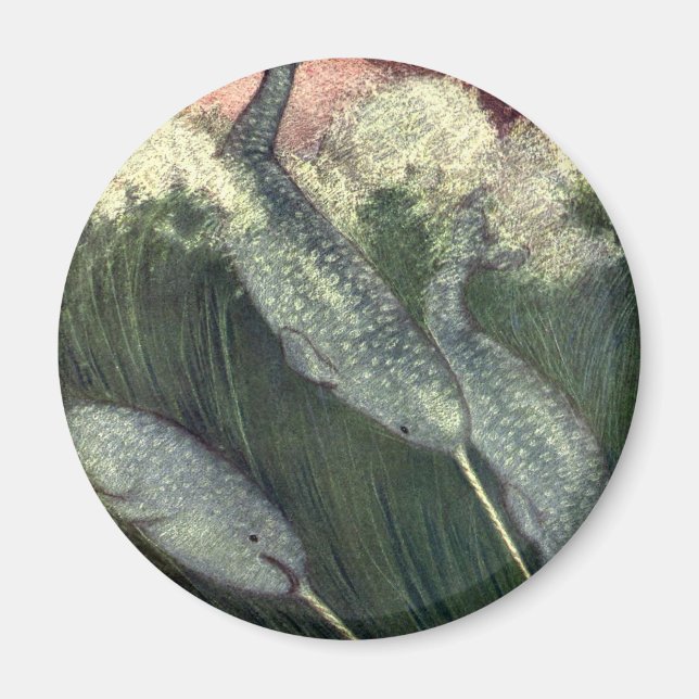 Imán Narballenas de época, ballenas de la vida marina,  (Frente)