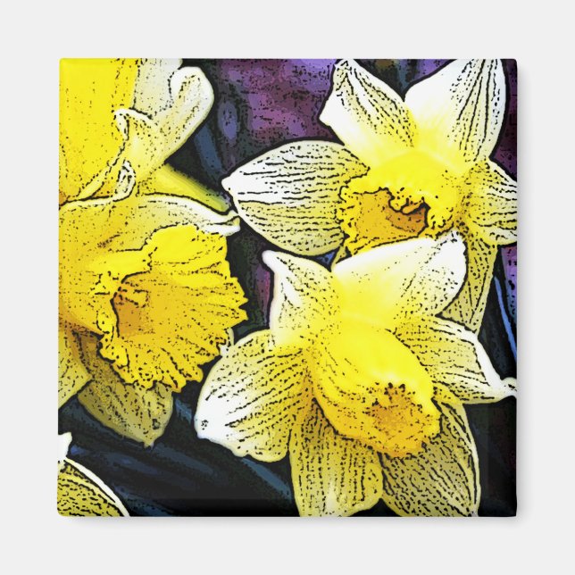 Imán Narciso (Frente)