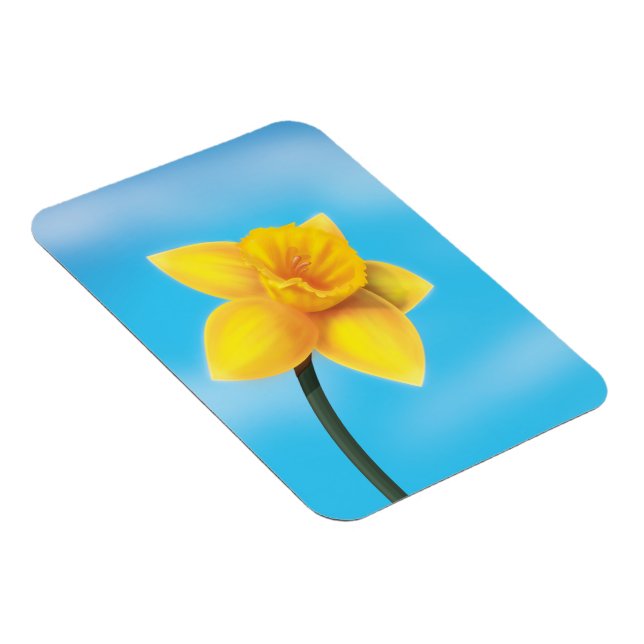 Imán Narciso Amarillo Brillante (Lado Derecho)