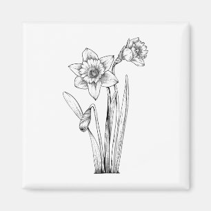 Imán Narciso Narcisos Flores Floral Primavera Pascua