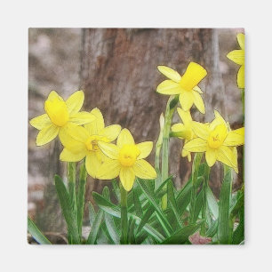 Imán Narcisos amarillos brillantes