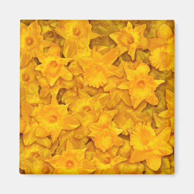 Imán Narcissus Flowers (Frente)