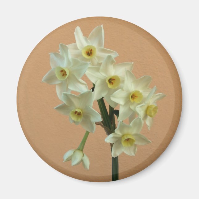 Imán Narcissus Magnet (Frente)