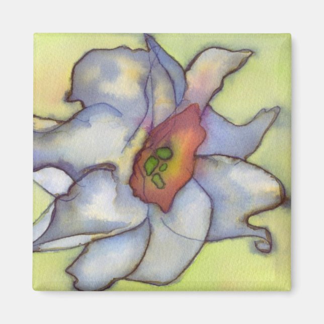 Imán Narcissus Magnet (Frente)