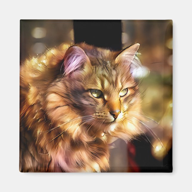 Imán Nari y el Sol Dorado (Frente)