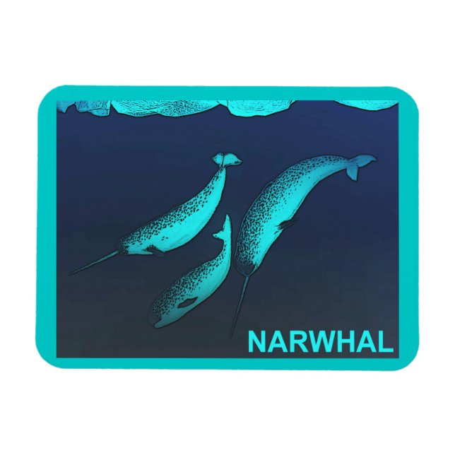 Imán Narwhal (Horizontal)