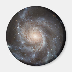 Imán NASA de la galaxia espiral del molinillo de viento