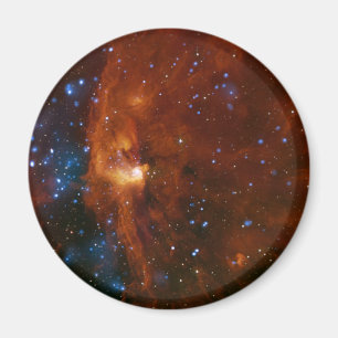 Imán NASA estelar del nacimiento RCW 108 de la estrella