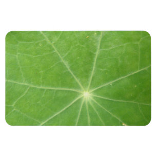 Imán Nasturtium Leaf Premium Magnet
