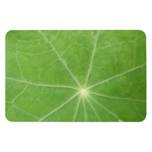 Imán Nasturtium Leaf Premium Magnet (Horizontal)