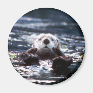 Imán Natación de Otter Sea