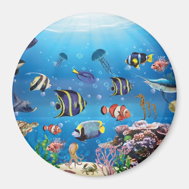 Imán Natación de peces tropicales (Frente)