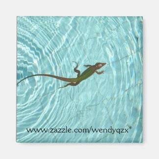 Imán Natación Lizard
