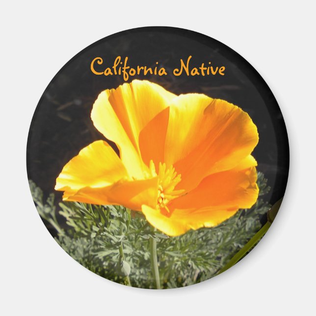 Imán Nativo de California (Frente)