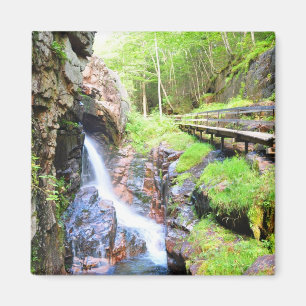 Imán natural hermoso del NH del paisaje de la