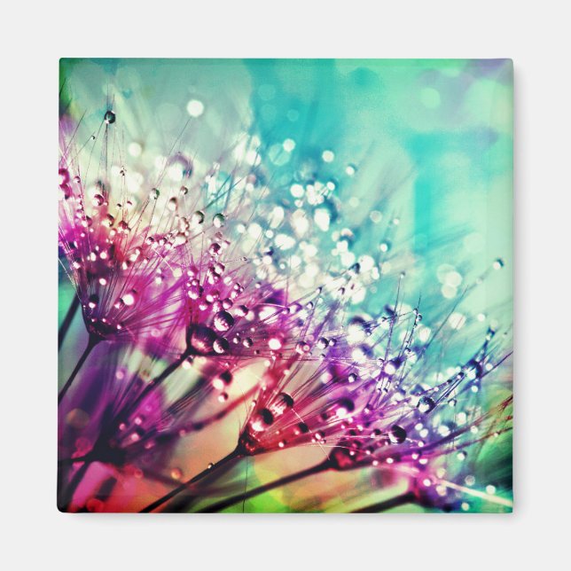 Imán Naturaleza (Frente)