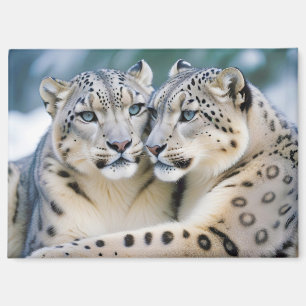 Imán Naturaleza animal leopardo de la nieve Afecto a la